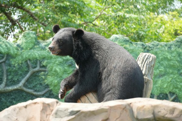 Les avantages du portefeuille assurance axa à connaître en 2025